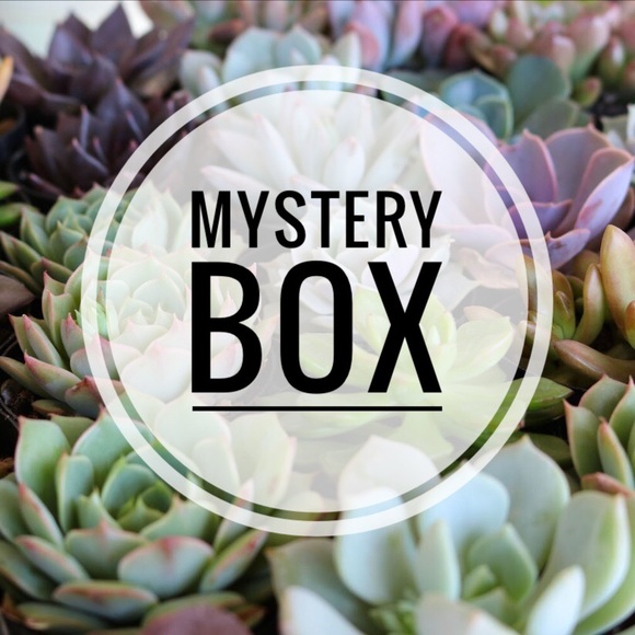Anthropologie Other - Mystery Boxes! Jeans, Dresses, Tops, Bags & More!